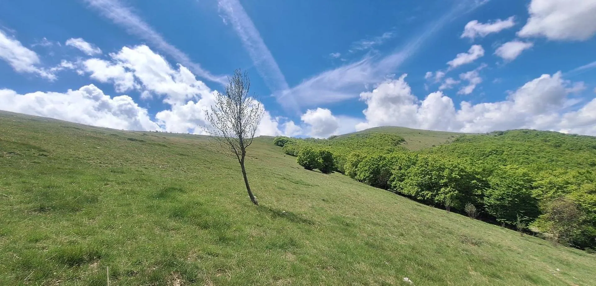 La Ferme D'Yvette Et Zou, Au Coeur Des Baronnies Provencales, Pour Un Sejour En Famille Ou Entre Amis Villa Barret-sur-Meouge